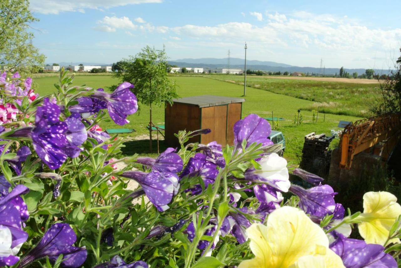 Antiche Dimore San Felice Spello Exteriör bild